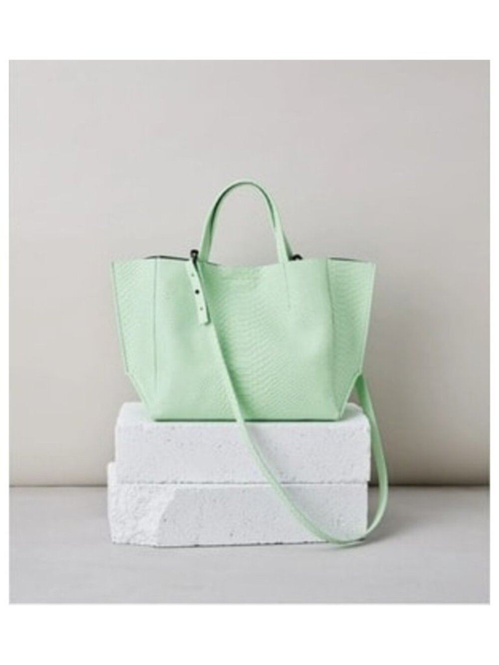 Ampersand as Apostrophe Half Tote Mint Python Bag OS NWT